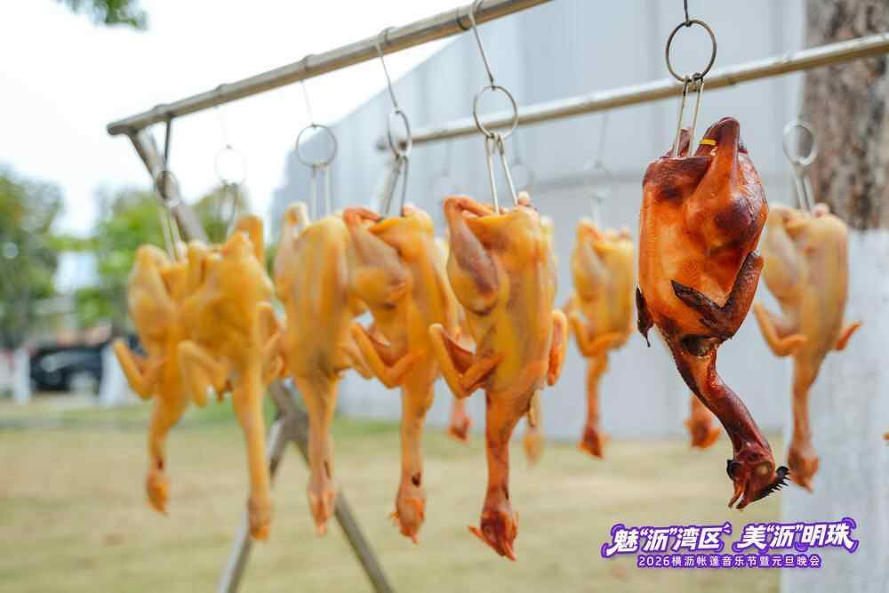 音乐节暨元旦晚会落幕奏响湾区新年华章不朽情缘平台登录网页2026横沥帐篷(图7)