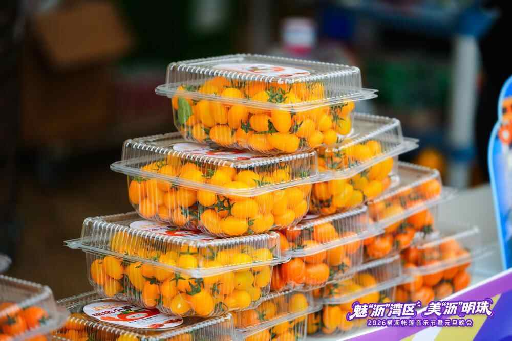 音乐节暨元旦晚会落幕奏响湾区新年华章不朽情缘平台登录网页2026横沥帐篷(图5)